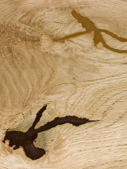 半自动修复木材表面缺陷